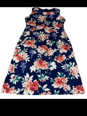 Lands End Women’s Size 6 Sleeveless Knee Length Dress Floral Blue Pink Floral